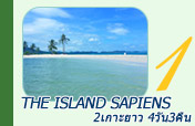 The Island Sapiens: 2 เกาะยาว